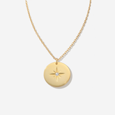 Meteorite Medal Necklace
